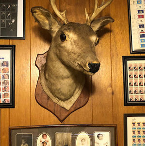 Meet your Posher, Sonia